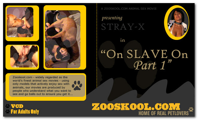 Home Of Real PetLover - Strayx On Slave On 1
