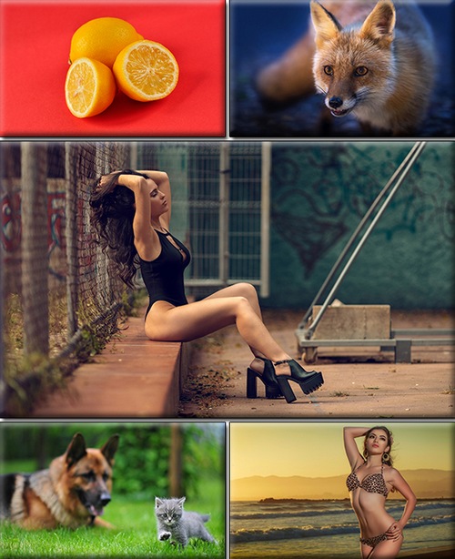LIFEstyle News MiXture Images. Wallpapers Part (1502)