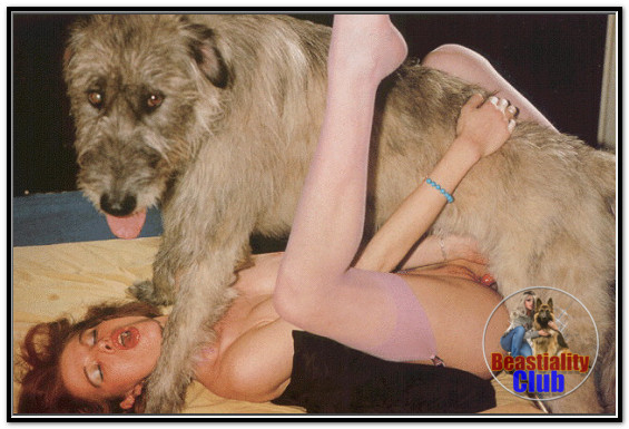 Janine De Groot- Animal Pornstar - 02