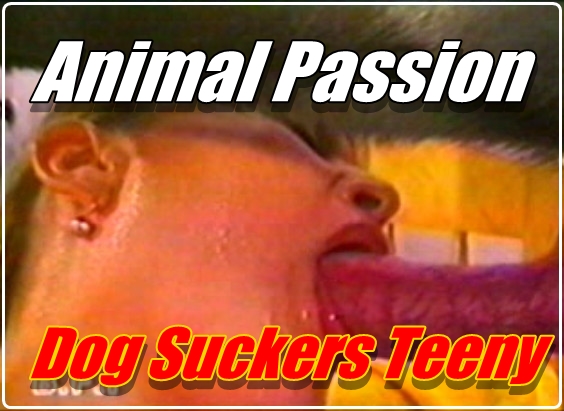 Animal Passion - Dog Suckers Teeny