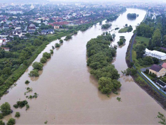 Потоп на Закарпатье: спасатели рассказали об ущербе от разгула стихии