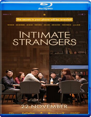Intimate Strangers 2018 BluRay 720p DTS x264-MTeam