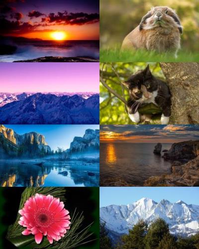 Wallpapers Mix №792