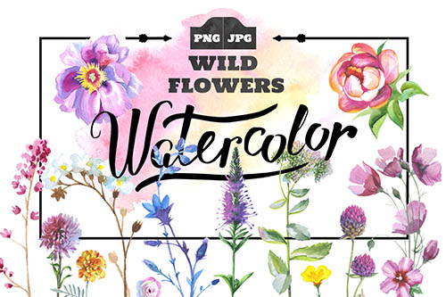 Wild Flowers Watercolor set 1