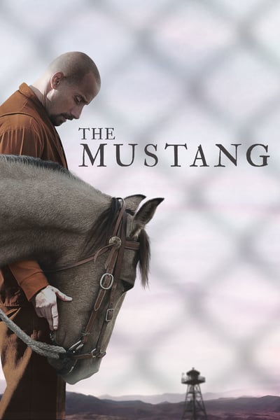 The Mustang (2019) 1080p BluRay x264-YIFY