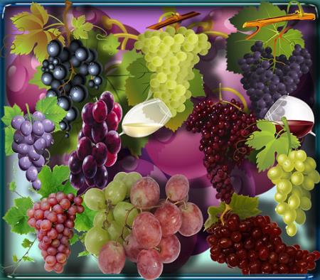 Прозрачные клипарты для фотошопа - Спелый виноград