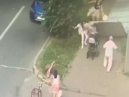 В Харькове строительный забор обрушился на женщину с ребятенком: видео и детали с места
