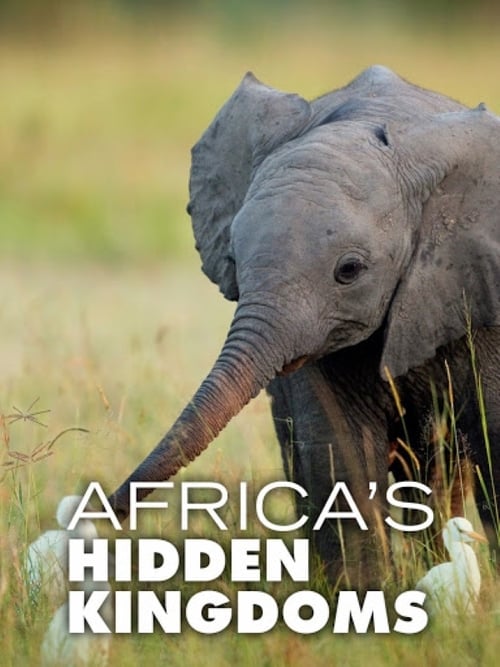 Africas Hidden Kingdoms S01e06 Kogelberg Mountains Of Diversity Web H264-underbelly