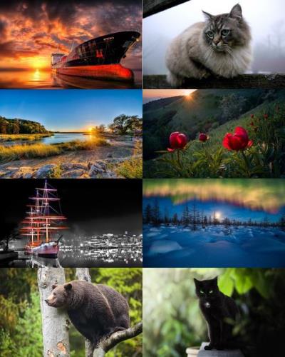 Wallpapers Mix №794