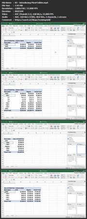 Excel for Mac PivotTables in Depth