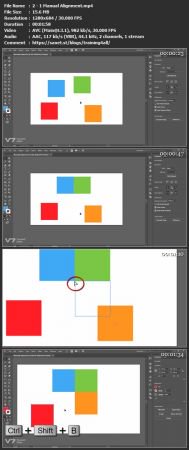 Adobe Illustrator CC Full Course Aligning Items ( Part Three )