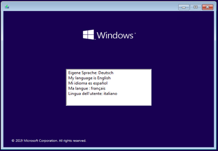 Microsoft Windows 10 Enterprise VL 1903 OS Build 18362.175 June 2019