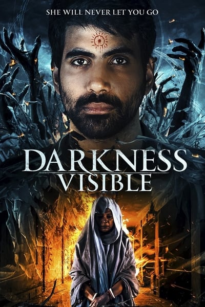 Darkness Visible 2019 1080p WEBRip x264-YiFY