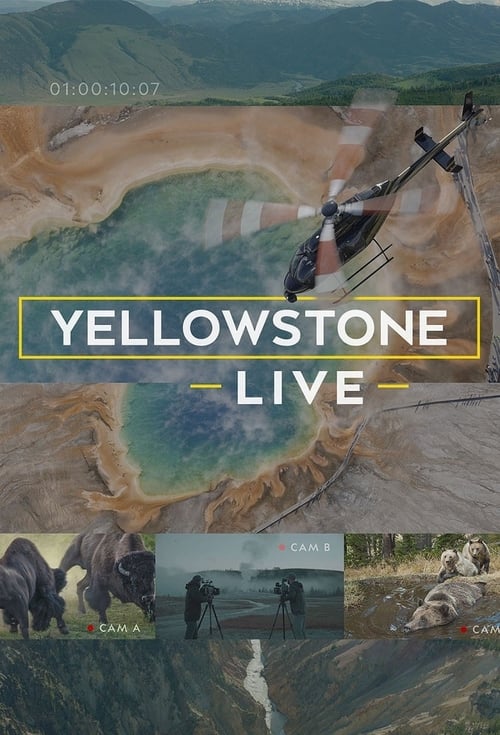 Yellowstone Live S02e03 Predators And Prey 720p Web X264-caffeine