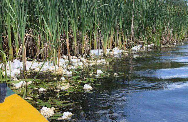 Вісті з Полтави - У Великобагачанському районі у Псел скинули велику кількість пінопласту — забруднено 6 км річки