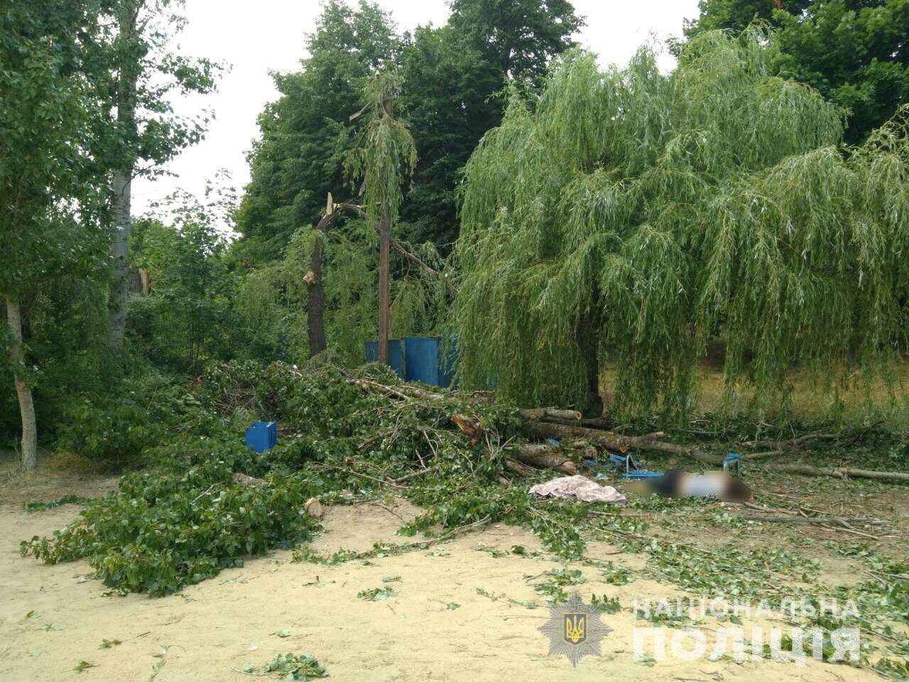 На базе роздыха возле Харькова из-за падения дерева погиб человек, еще двое влетели в реанимацию