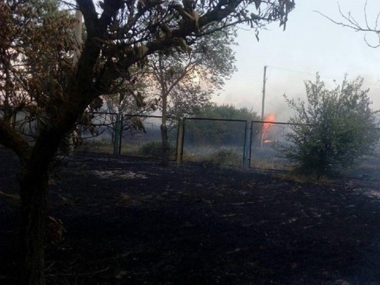 Масштабный пожар на курорте под Одессой: горит база роздыха(фото)