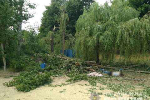 Численность погибших от падения дерева на базе роздыха возле Харькова вымахало до двух