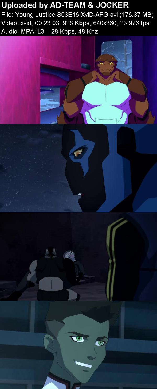 Young Justice S03e16 Xvid-afg