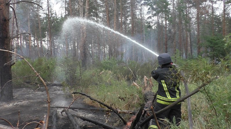 Пожар в заминированном лесу под Станицей Луганской потушили