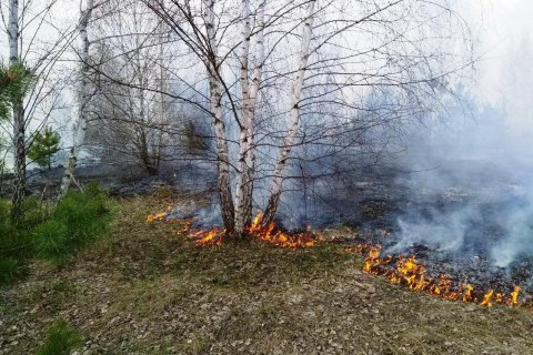 ​Возле Станицы Луганской возгорелся заминированный лес, один-одинехонек человек изранен(освежено)
