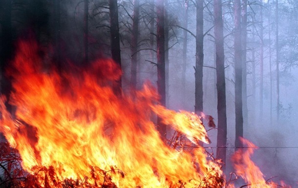 Потушен пожар в заминированном лесу под Станицей Луганской