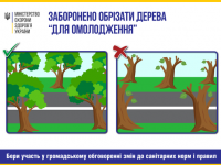 МОЗ України пропонує заборонити омолоджувальну обрізку дерев, спалювання листя і посипання доріг сіллю