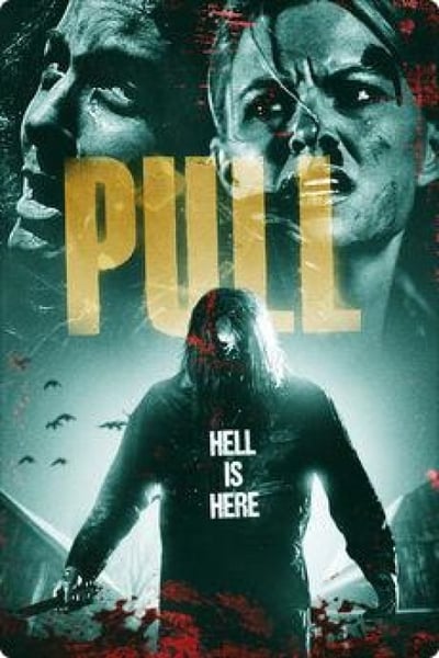 Pulled to Hell 2019 BRRip AC3 x264-CMRG