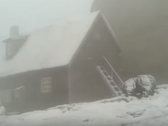 В разгар лета Карпаты замело снегом: опубликовано видео
