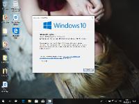 Windows 10 Business Editions ( 17763.253) by WinRoNe (x86-x64)