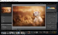 Adobe Photoshop Lightroom Classic CC 2019 8.2.0 Portable by punsh