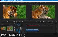 Adobe Premiere Pro CC 2019 13.0.3.8 Portable by punsh