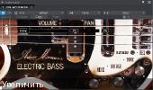 Adam Monroe Music - Adam Monroe's Electric Bass 1.2 VSTi, AAX, AUi, KONTAKT WIN.OSX x86 x64 - бас-гитара