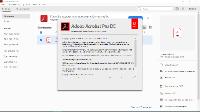 Adobe Acrobat Pro DC 2019.010.20098 RePack