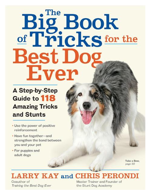 The Big Book of Tricks for the Best Dog Ever A Step by Step Guide to 118 Amazing T...