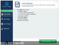 Driver Easy Professional 5.6.11.29999