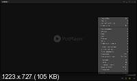 Daum PotPlayer 1.7.21792 Final + Portable