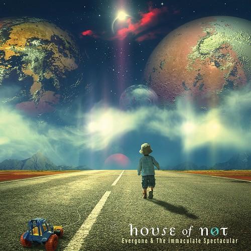 House of Not -Evergone & the Immaculate Spectacular (2018)