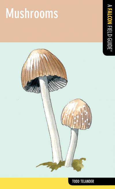 st Mushrooms A Falcon Field Guide