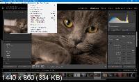 Adobe Photoshop Lightroom Classic CC 2019 8.3.1 Portable by punsh