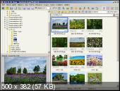 FastStone Image Viewer 7.1 Corporate Portable by TryRooM