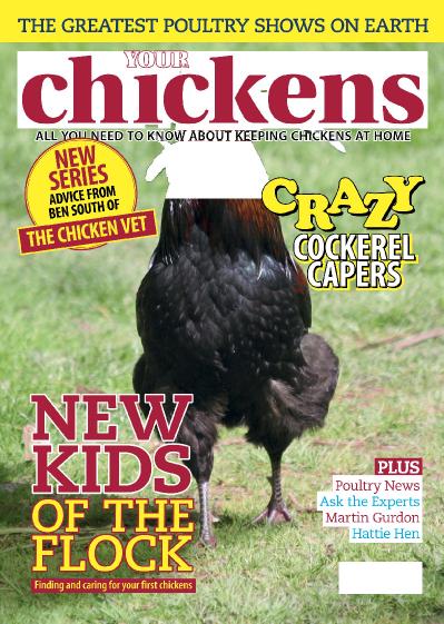 Your Chickens February (2019)