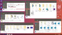 Microsoft Windows 10 Professional VL 1903 19H1 RU by OVGorskiy 2DVD (x86-x64)